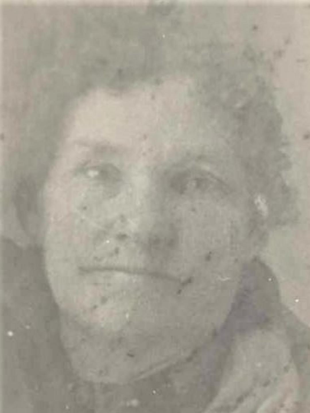 Elizabeth Ann Hargraves (1851 - 1939) Profile